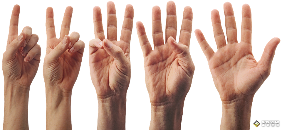 十大现货黄金平台中的杰出代表  